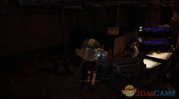 第二章补领女仆装位置相关图片