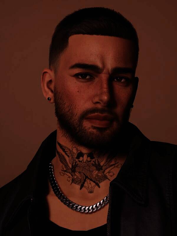 inZOI拉丁裔坏男孩捏脸使用教程图1