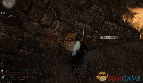 猫猫-北北细节图片