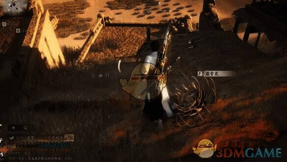 猫猫·东东所在房顶图片