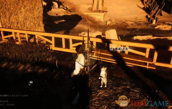 猫猫·月亮所在房顶图片