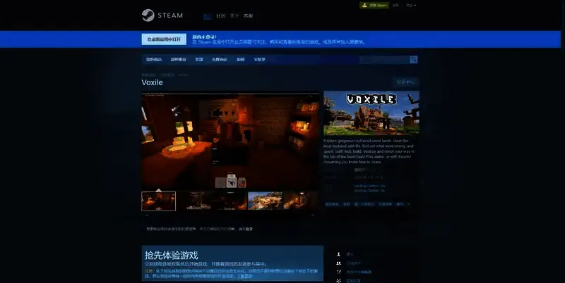 《Voxile》Steam下载页面展示