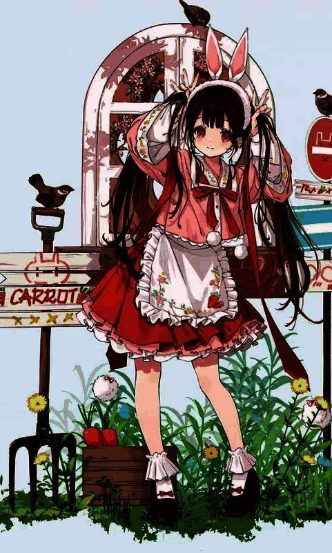 开放空间兔故乡相关画面