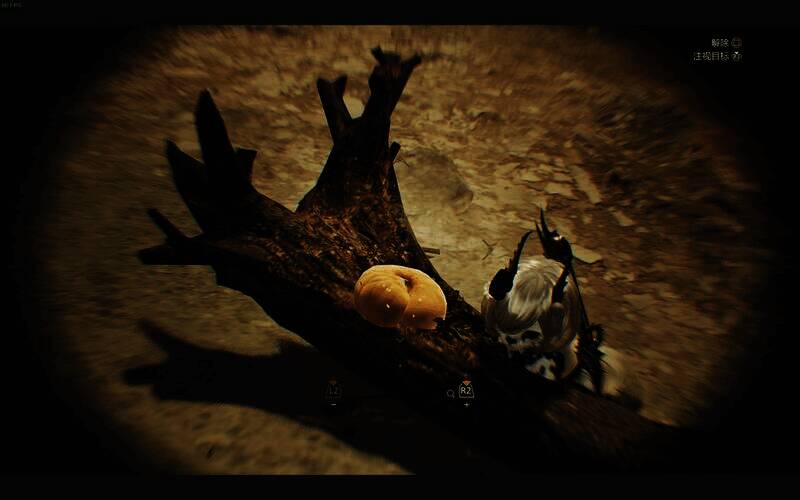 耐力雷虫捕获位置图