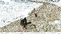 女荒火飞星震技能展示