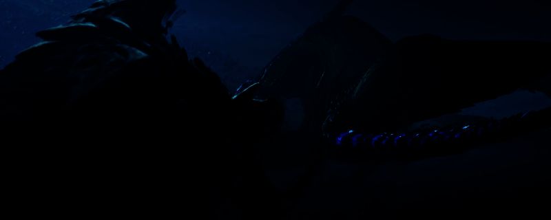 怪物猎人荒野游戏画面相关图片