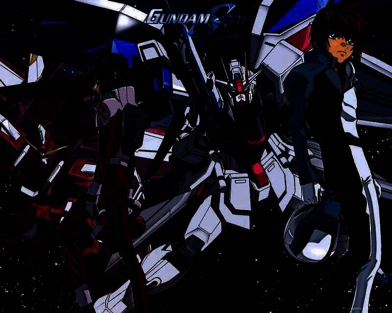 无限正义敢达(seed爆发)外观图