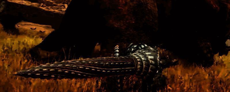 怪物猎人荒野游戏相关图片