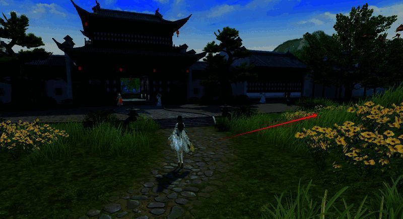 黄色叶子树下的行囊