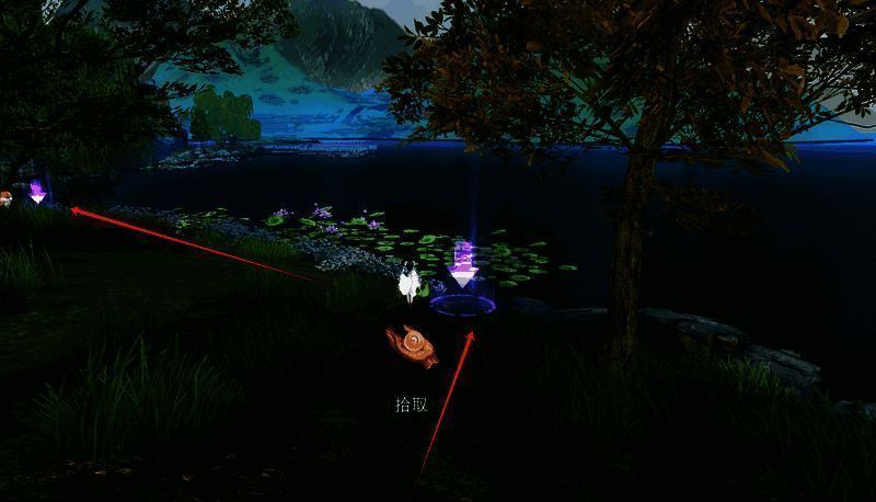 莲花岸边的行囊