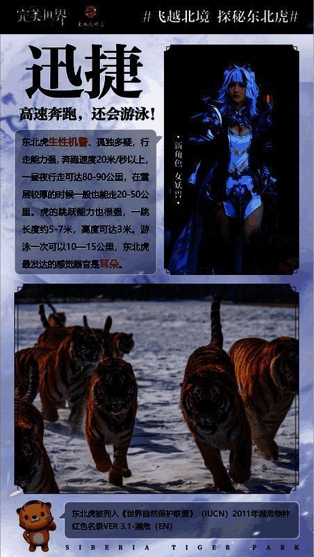 东北虎林园实景图