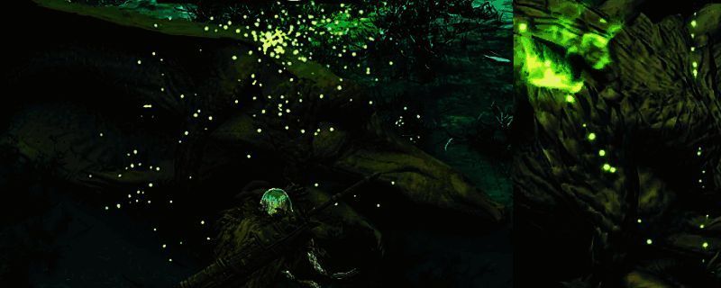 《怪物猎人：荒野》游戏画面