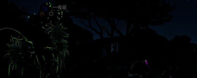 《怪物猎人：荒野》游戏相关画面