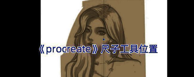 Procreate绘图指引开启界面示例