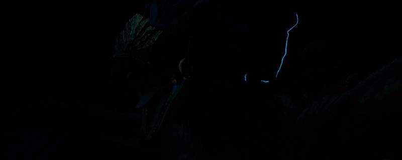 《怪物猎人：荒野》游戏画面