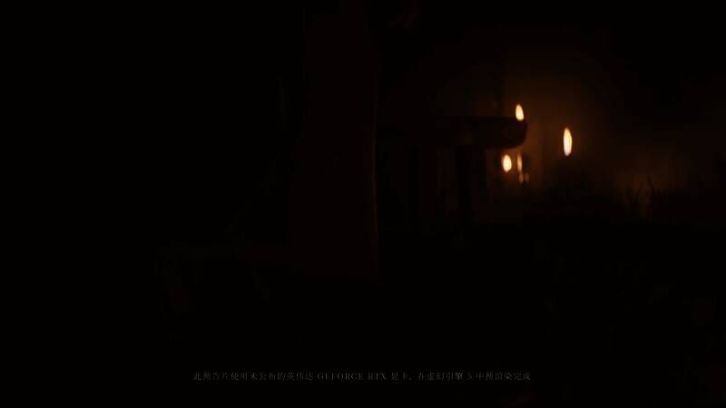 《巫师4》相关画面