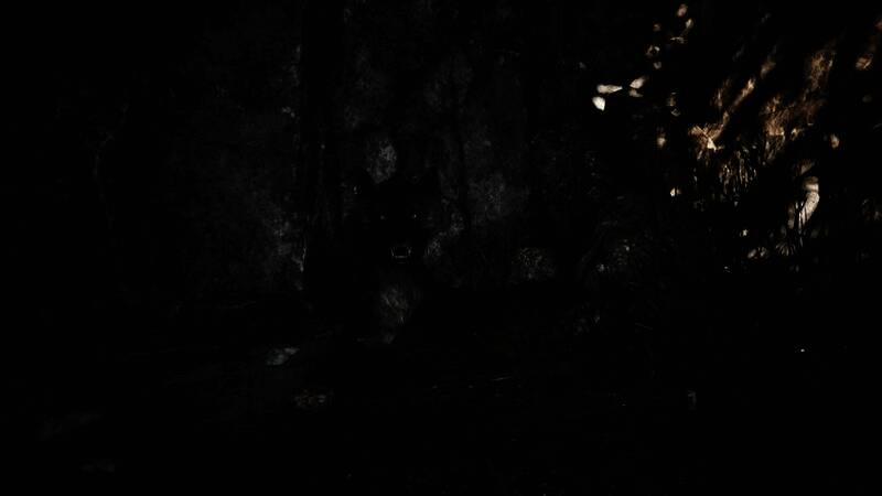 《哥特王朝：重制版》游戏截图5