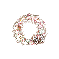 饭笥新皮肤相关动态图