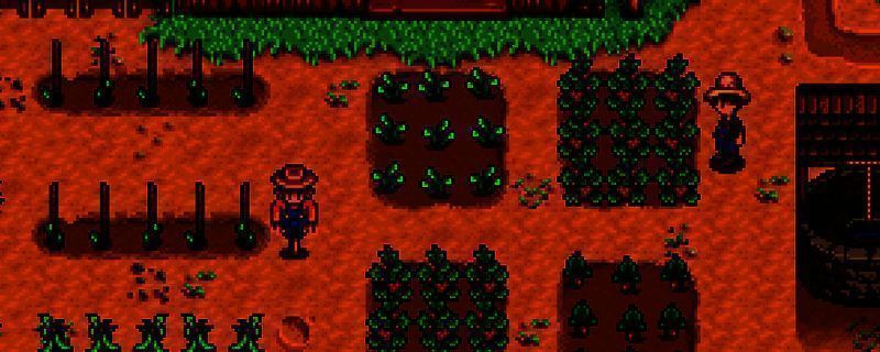 星露谷物语相关图片