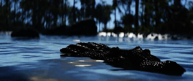 《腐蚀》新更新相关宣传图3