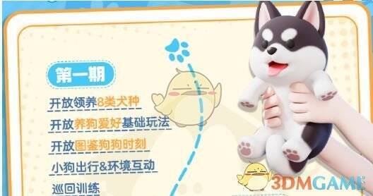 心动小镇可领养犬种展示