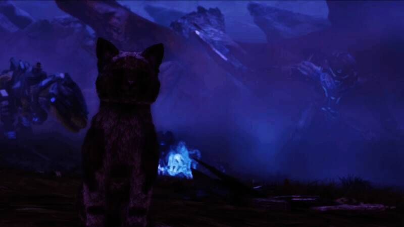 小猫威吓小型生物