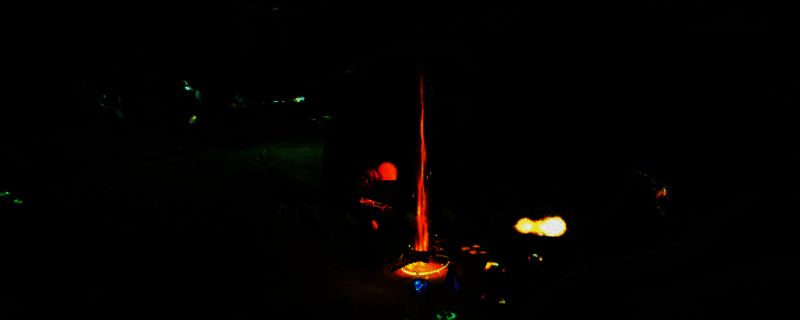 威乐福相关图片1