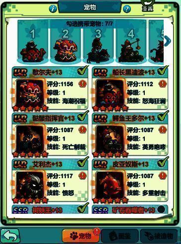 宠物评级相关展示图片