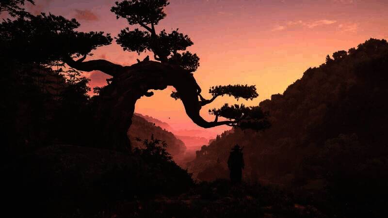 《刺客信条：影》游戏美景