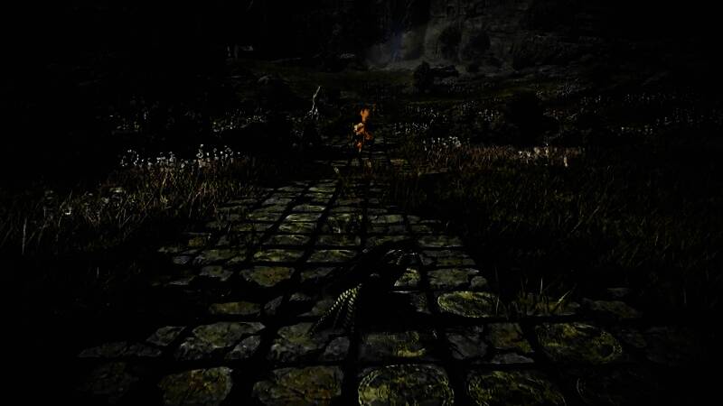 《艾尔登法环：黑夜君临》视频画面3