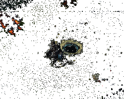 人面树树枝扫击技能动图