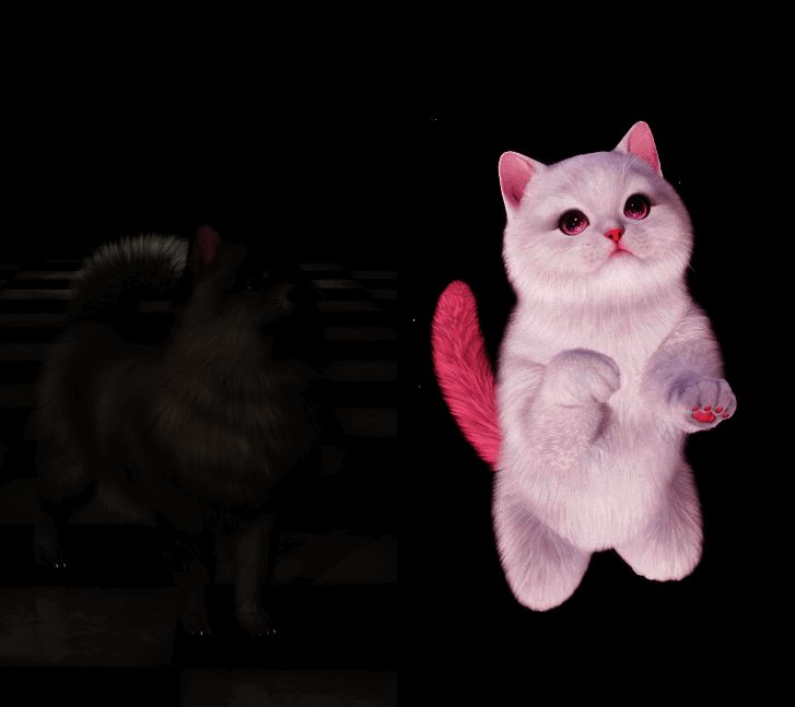 《以闪亮之名》宠物相关宣传图