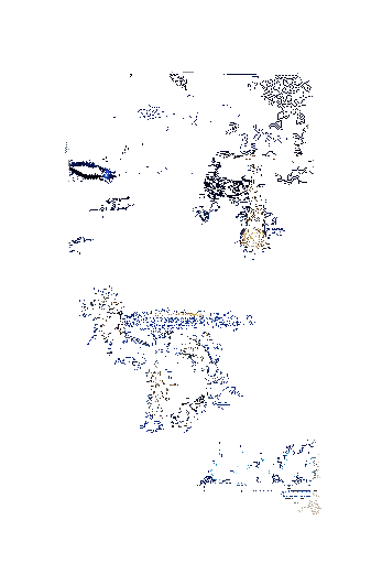 饴细工新皮肤·沉金雕梦动态展示图5