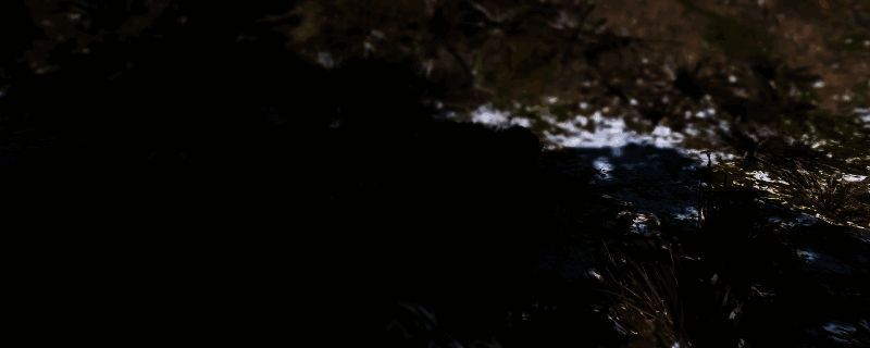 刺客信条：影猕猴理毛墨绘相关图片