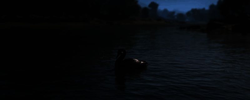 《刺客信条：影》鸬鹚捕鱼墨绘相关画面