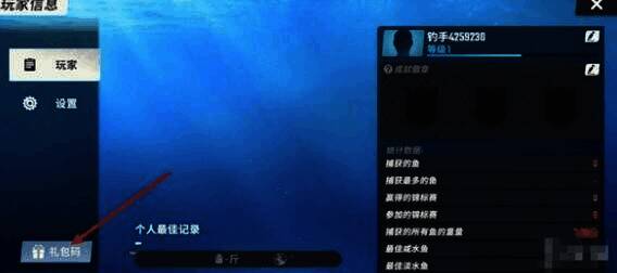 游戏左下角礼包码选项界面