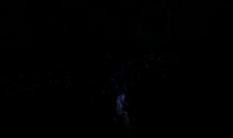 鹿角大王合击掌技能配图