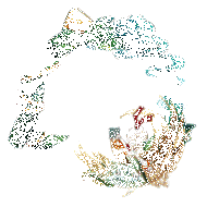 重午伴行活动动态宣传图1