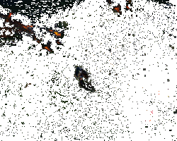 跳跳妹妹指挥番茄追击技能动画