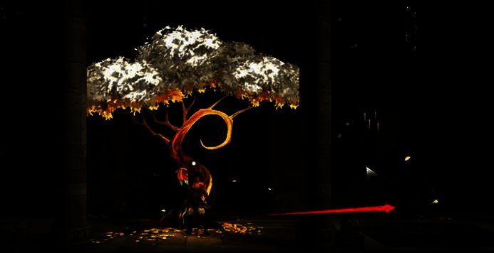 瓦格瓦格树及洞口图片