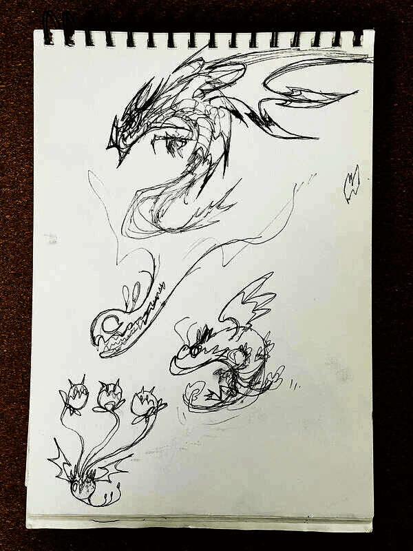 《飞吧龙骑士》相关画面5