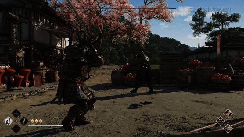 《刺客信条:影》游戏截图7