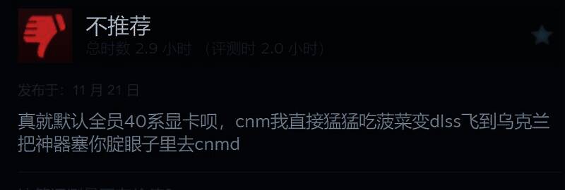 《潜行者2》30系显卡相关问题图片1