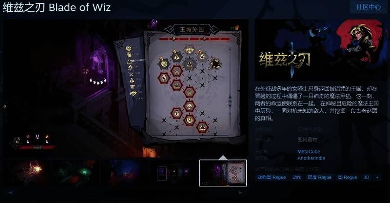 《维兹之刃》相关图片1