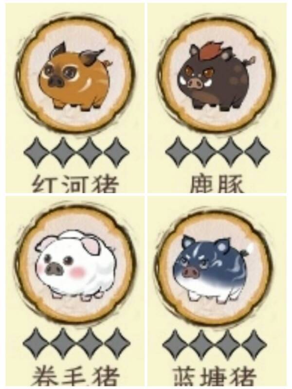 《华夏千秋》猪猪繁育相关图片