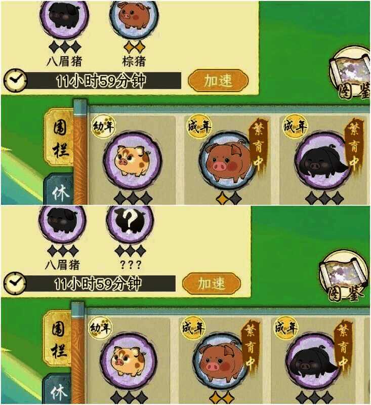 《华夏千秋》猪猪食物相关图片