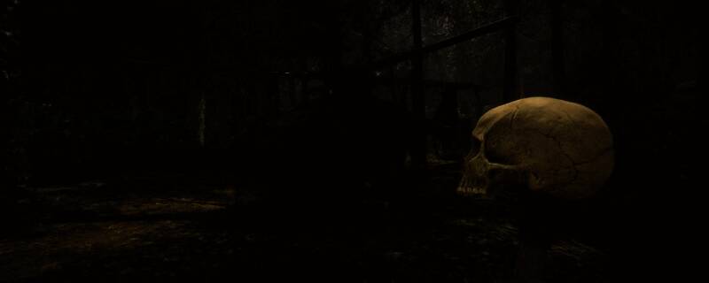 《森林之子》游戏画面