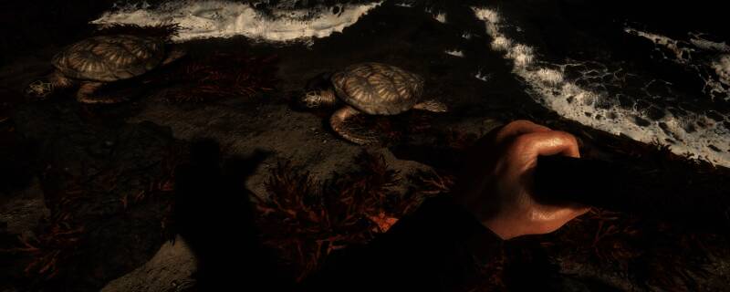 《森林之子》游戏画面