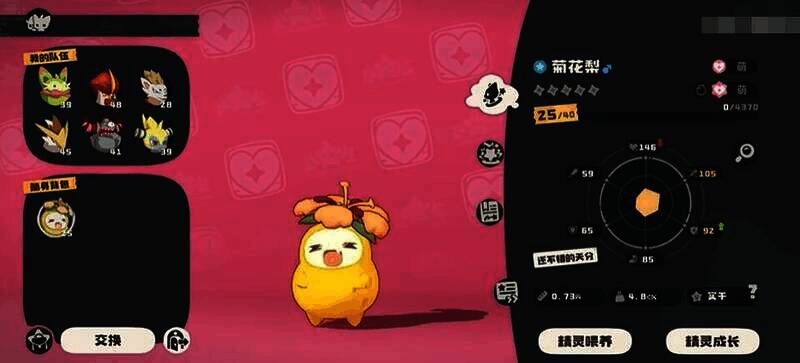 菊花梨相关图片