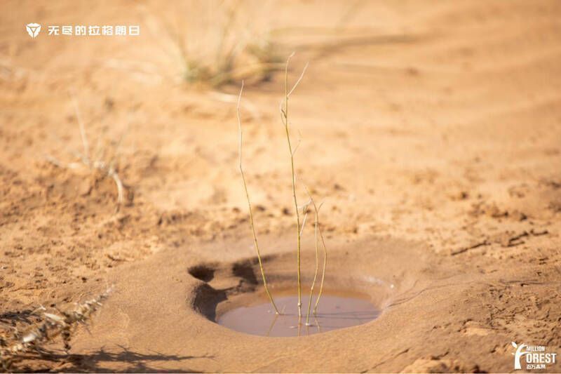 《无尽的拉格朗日》地球日端外活动画面